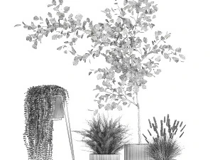 Beautiful tree and plants for the interior in pots 1254 3D Model
