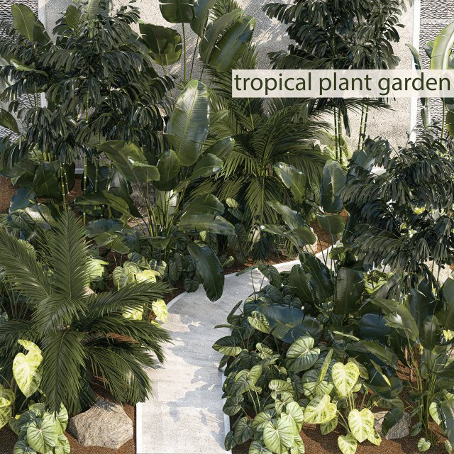 Realistic garden of tropical plants Strelitzia palm thicket 1256 3D 모델 .c4d .max .obj .3ds .fbx .stl .blend 
