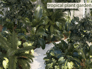 Realistic garden of tropical plants Strelitzia palm thicket 1256 3D Model