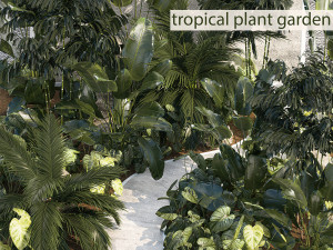 Realistic garden of tropical plants Strelitzia palm thicket 1256 Model 3D