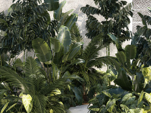 Realistic garden of tropical plants Strelitzia palm thicket 1256 3D 모델