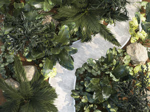 Realistic garden of tropical plants Strelitzia palm thicket 1256 3D 모델