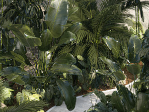 Realistic garden of tropical plants Strelitzia palm thicket 1256 3D 모델