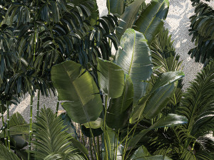 Realistic garden of tropical plants Strelitzia palm thicket 1256 3D 모델