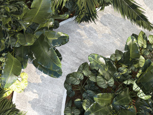 Realistic garden of tropical plants Strelitzia palm thicket 1256 3D 모델