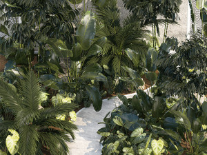 Realistic garden of tropical plants Strelitzia palm thicket 1256 3D 모델