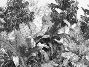 Realistic garden of tropical plants Strelitzia palm thicket 1256 3D 모델