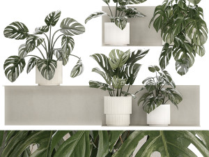 Wall Shelf With Monstera In Pots Vertical Garden 1259 3D Model