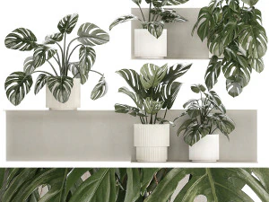Mensola a muro con Monstera in vaso Giardino verticale 1259 Modello 3D