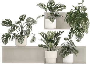 Wall Shelf With Monstera In Pots Vertical Garden 1259 3Dモデル