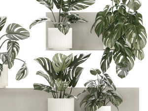 Wall Shelf With Monstera In Pots Vertical Garden 1259 3Dモデル