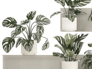 Wall Shelf With Monstera In Pots Vertical Garden 1259 3Dモデル