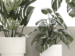 Wall Shelf With Monstera In Pots Vertical Garden 1259 3Dモデル