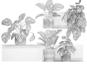 Wall Shelf With Monstera In Pots Vertical Garden 1259 3Dモデル