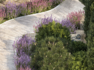 Alpine hillside flowers garden and landscaping 1261 Model 3D