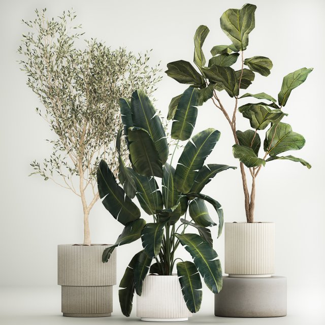 Beautiful plants for the interior in flowerpots 1261 3D Model .c4d .max .obj .3ds .fbx .stl .blend