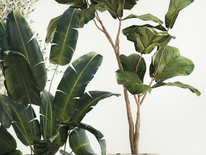 Beautiful plants for the interior in flowerpots 1261 3D Model