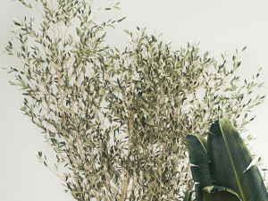 Beautiful plants for the interior in flowerpots 1261 3D Model
