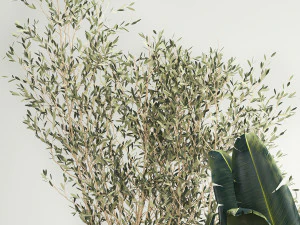 Lindas plantas para o interior em vasos 1261 Modelo 3D