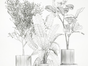 Beautiful plants for the interior in flowerpots 1261 3D Model