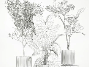 Lindas plantas para o interior em vasos 1261 Modelo 3D