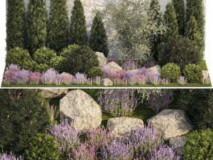 Garden with alpine slide bushes of thuja and lavender 1265 3D Model
