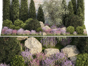 Jardim com arbustos alpinos de thuja e lavanda 1265 Modelo 3D