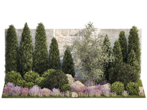 Garden with alpine slide bushes of thuja and lavender 1265 3D मॉडल