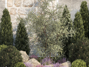Garden with alpine slide bushes of thuja and lavender 1265 3D मॉडल