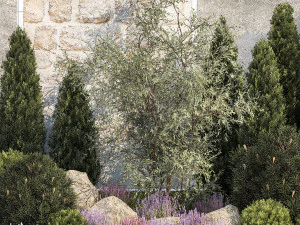 Garden with alpine slide bushes of thuja and lavender 1265 3D Model