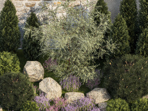 Garden with alpine slide bushes of thuja and lavender 1265 3D मॉडल