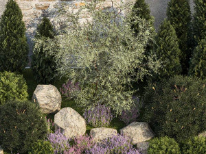 Garden with alpine slide bushes of thuja and lavender 1265 3D Model