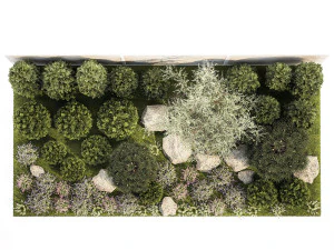 Garden with alpine slide bushes of thuja and lavender 1265 3D Model