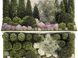 Garden with alpine slide bushes of thuja and lavender 1265 3D Model