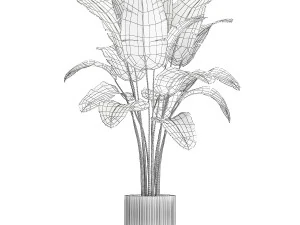 Beautiful Banana palm tree in a flower pot for decoration 1266 3D Model