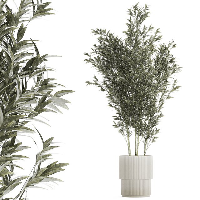 Beautiful Bamboo bush in flowerpots for decoration 1272 3D Model .c4d .max .obj .3ds .fbx .stl .blend 