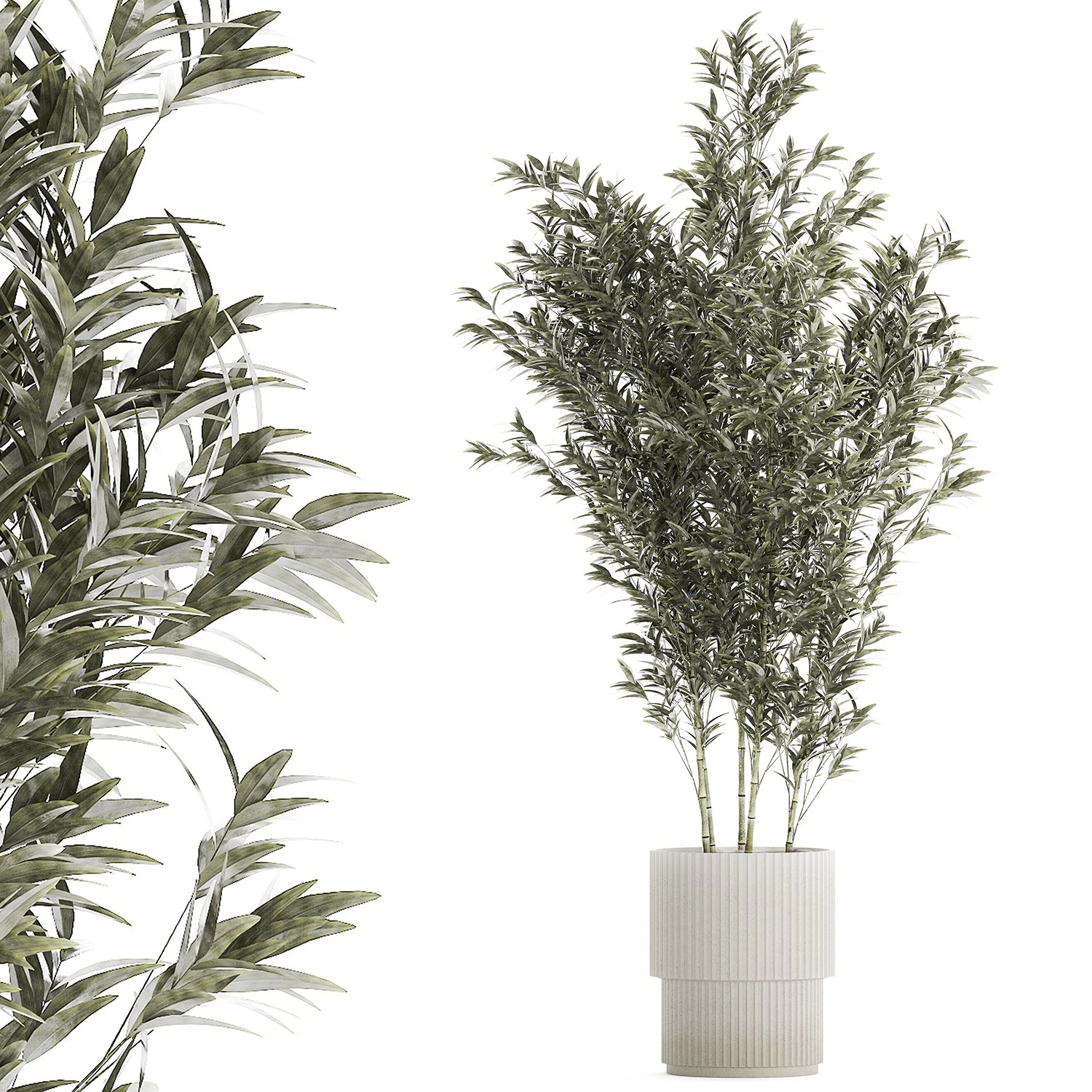 Bellissimo cespuglio di bamb&ugrave; in vasi da fiori per la decorazione 1272 Modello 3D .c4d .max .obj .3ds .fbx .stl .blend 