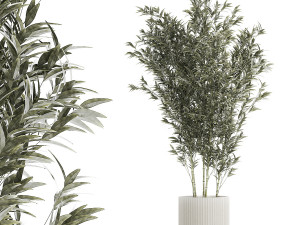 Beautiful Bamboo bush in flowerpots for decoration 1272 Modelo 3D