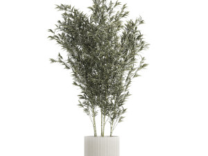 Beautiful Bamboo bush in flowerpots for decoration 1272 3D Model
