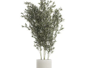 Bellissimo cespuglio di bamb&ugrave; in vasi da fiori per la decorazione 1272 Modello 3D