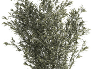 Beautiful Bamboo bush in flowerpots for decoration 1272 3D Model