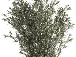 Bellissimo cespuglio di bamb&ugrave; in vasi da fiori per la decorazione 1272 Modello 3D
