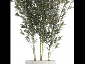 Bellissimo cespuglio di bamb&ugrave; in vasi da fiori per la decorazione 1272 Modello 3D