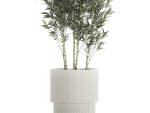 Beautiful Bamboo bush in flowerpots for decoration 1272 3D Model