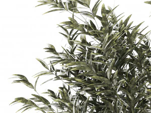 Bellissimo cespuglio di bamb&ugrave; in vasi da fiori per la decorazione 1272 Modello 3D