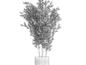 Beautiful Bamboo bush in flowerpots for decoration 1272 3D Model