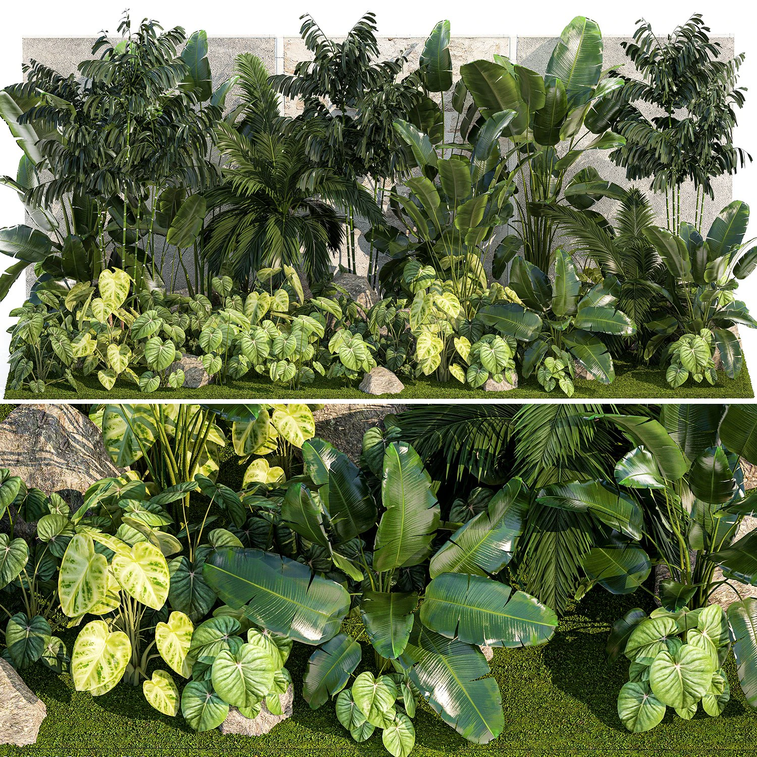 Jardim de palmeiras ex&oacute;ticas e tropicais 1273 Modelo 3D .c4d .max .obj .3ds .fbx .stl .blend 