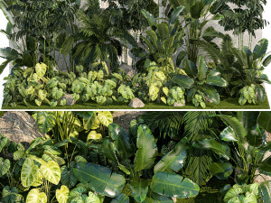 Garden of exotic and tropical palm plants 1273 3D Model