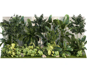 Jardim de palmeiras ex&oacute;ticas e tropicais 1273 Modelo 3D