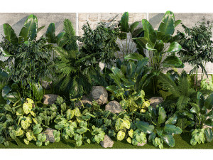 Garden of exotic and tropical palm plants 1273 Modelo 3D